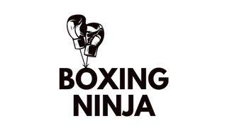 boxing ninja