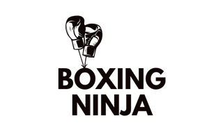 boxing ninja