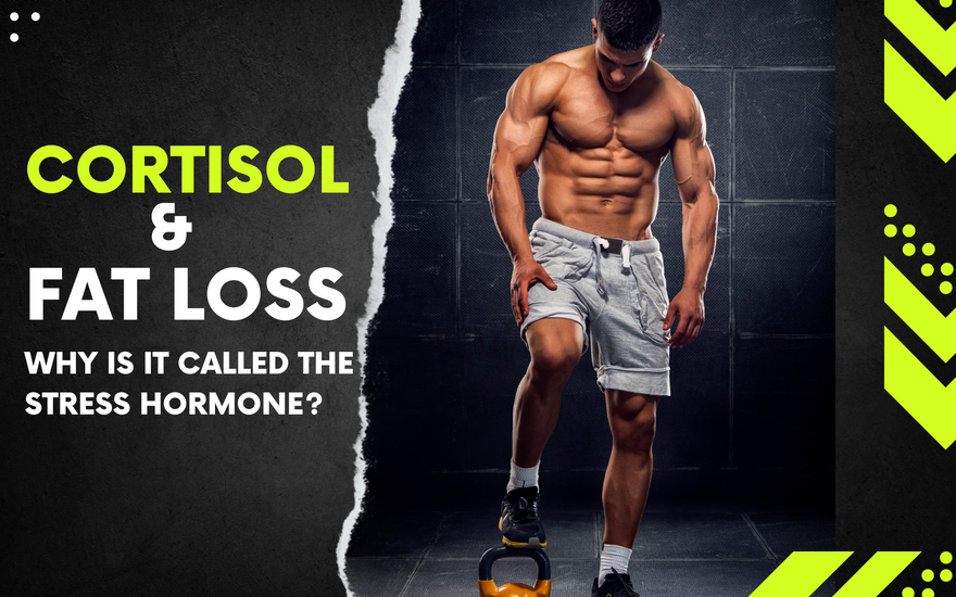 cortisol and fat loss
