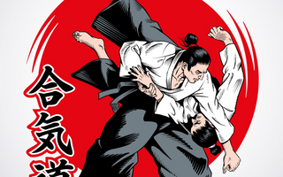 what is aikido