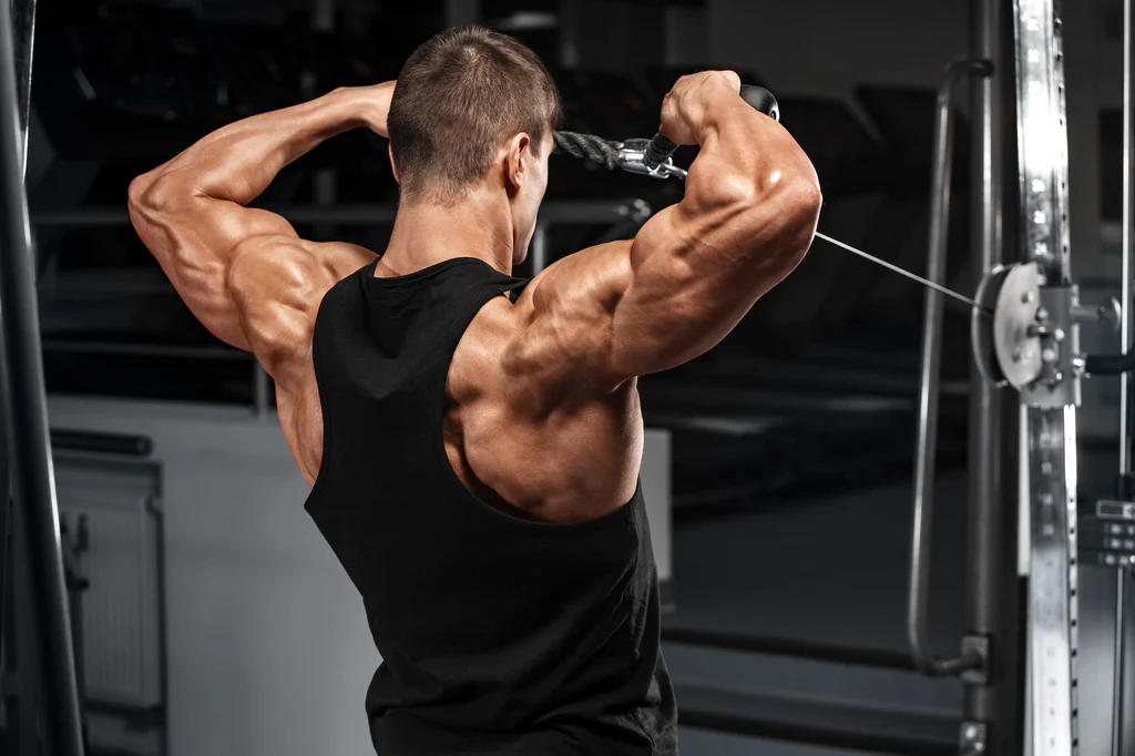 Back workout without cables sale