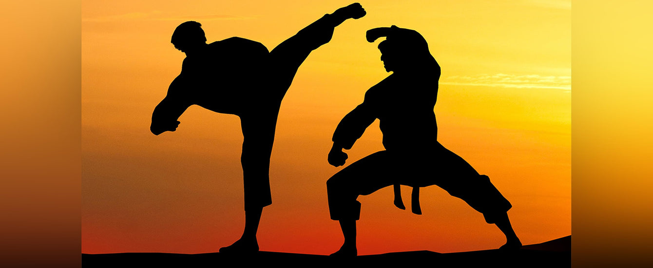 6 Documentaries That Will Hook Martial Arts Fans NinjAthlete