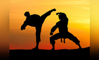 martial arts documentaries