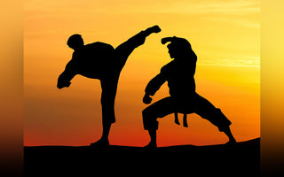 martial arts documentaries