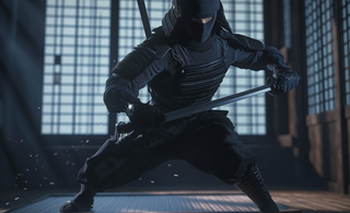 ninja martial arts