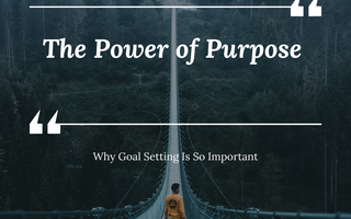 why goal setting is important