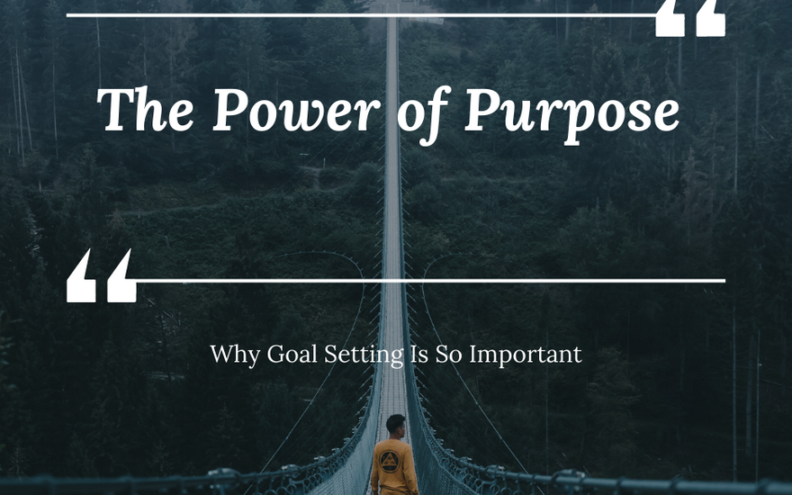 why goal setting is important