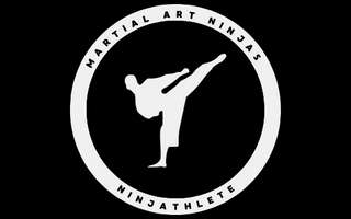 ninja martial arts